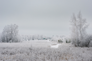 Rime / ***