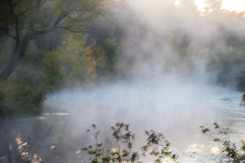 Ghostly ansehen ... / ***