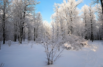 Zimushka - Winter / ***