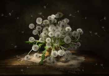 Fuzzies / ***