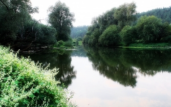 Kalter Morgen / ***