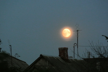 Mond / ***