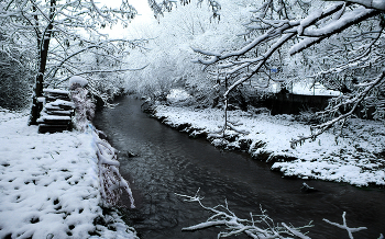 Winter-Etüde / ***