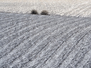  / /\/\/\/\