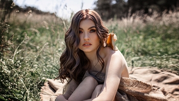  / ***