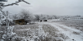 Frosty Day / ***