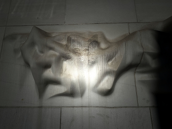 The wolf is coming / Out of a myth