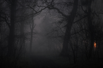 Nacht Nebel / ***
