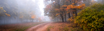 über Herbst / ***