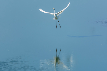 Bei der Landung / ***