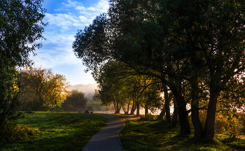 Morgen in den Park. / ***