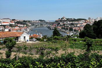 Porto / ***