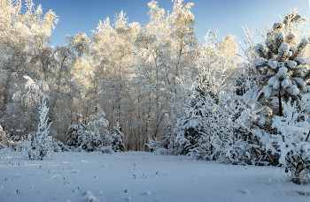 Goodbye Winter / ***