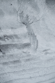 Vor dem Sturm. / ***