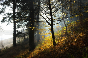 Morgen Landschaft / ***