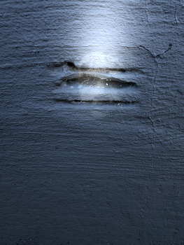 Vanish behind a grid / A dream