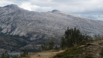 Bald Mountain / ***