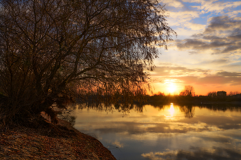 New Day / ***
