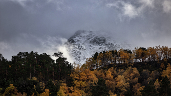 Herbst / ***