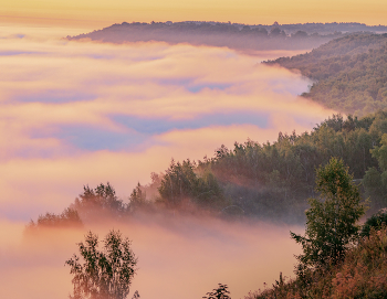 Nebel zerstreut / ***