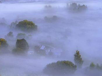 Cottage im Nebel / ***