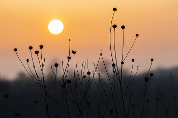 Guten Morgen / ***