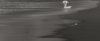 Surfen / ***