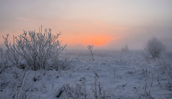 In dem Feld. / ***