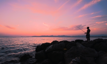 Abend / ***