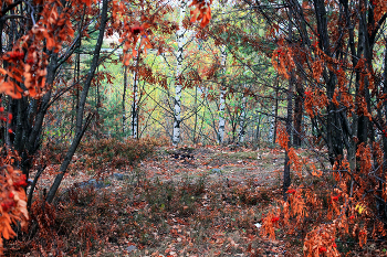 Vorhang / ***