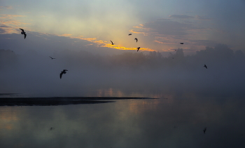 Morgendämmerung am Fluss / ***
