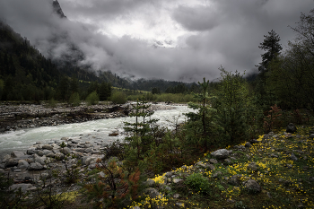 Dolra River In May / ***