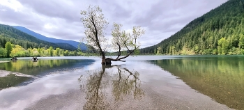 Einsamkeit / ***