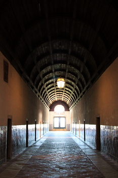 Perspective / ***
