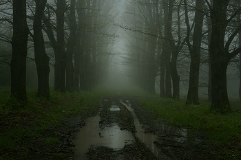  / ***