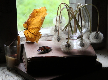 Still Life / ***