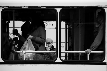 Bus / ***