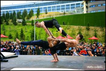 «Workout Fest» / ***