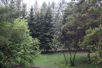 Blick aus dem Fenster / ***