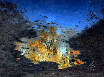 Reflexion der Herbst / ***