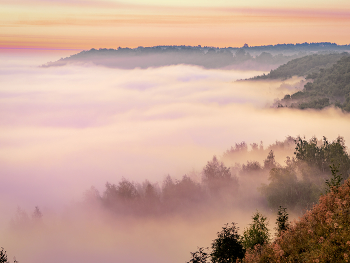 Nebel zerstreut / ***