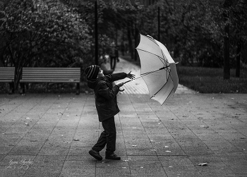 Regenschirm / ***