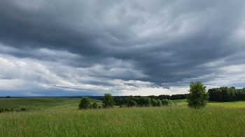 Feld / ***