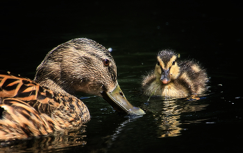 Mutter und Kind / ***