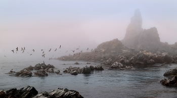 Nebel / ***