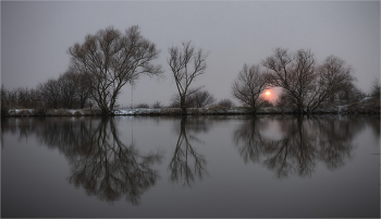 Februar / ***