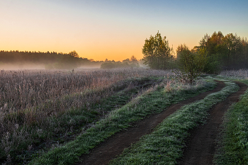 In dem Feld. / ***