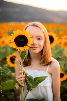 Photoshoot in sunflowers / Children's photo session in sunflowers