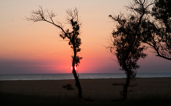 Orange sunset / ***