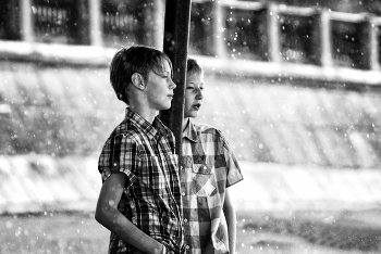 Regen / ***